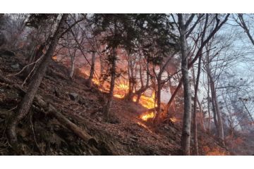 Dichiarazione periodo ad alto rischio di incendio boschivo stagione estiva 2026